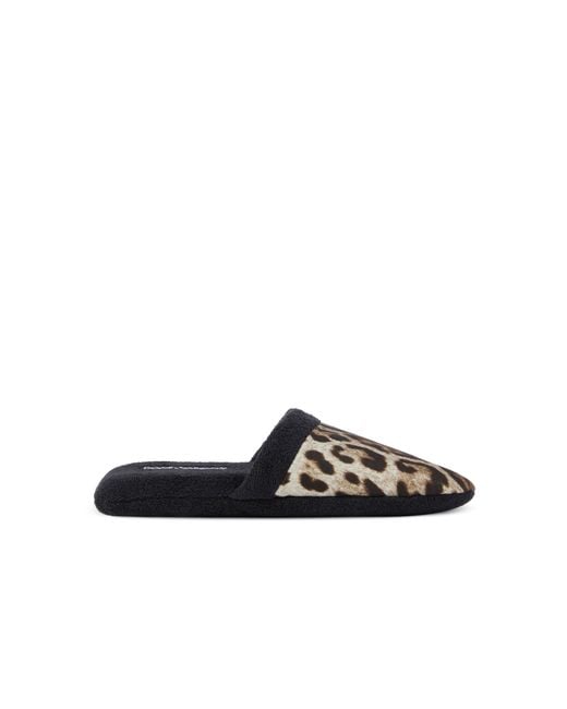 Dolce & Gabbana Black Dolceandgabbanacasa Leopard Slippers