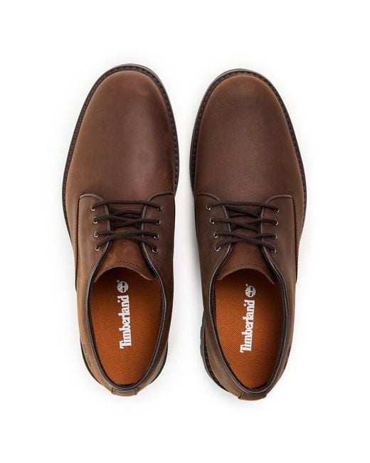 Timberland Brown Waterproof Derby Shoes for men