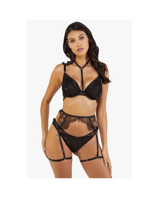 Playful Promises Brown Felicity Hayward Fairfield Lace Suspender Be