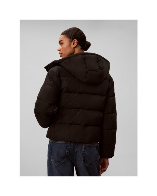 Calvin Klein Black Essential Padded Jacket