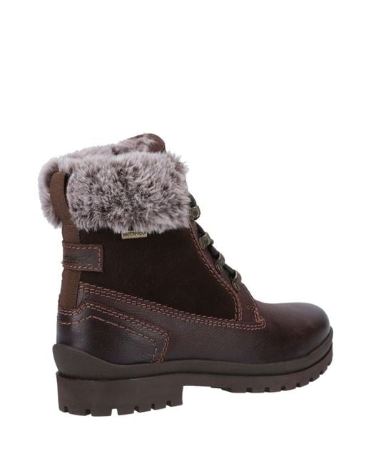 Cotswold Brown Evenlode Ankle Boots