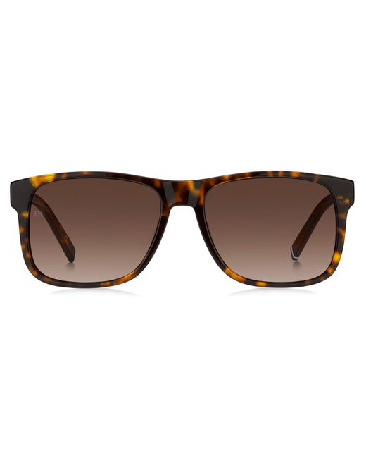 Tommy Hilfiger Brown Th 2073/S 086(Ha) for men