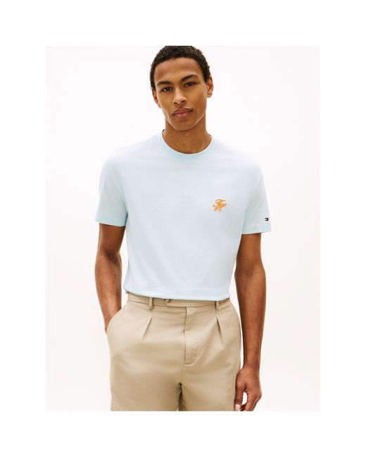 Tommy Hilfiger Blue T-Shirt for men