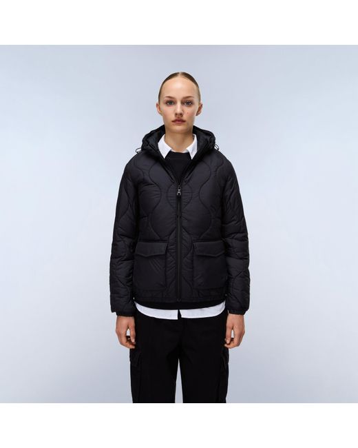 Napapijri Blue Napa Shorts Quilted Short Puffer Jacket