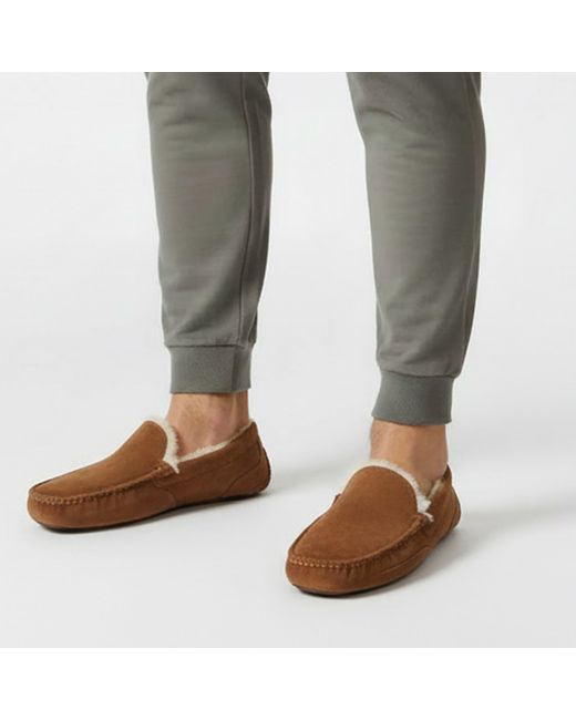 Jack Wills Brown Moccasin Slippers for men