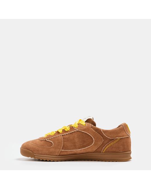 Naked Wolfe Brown Exposure Trainer