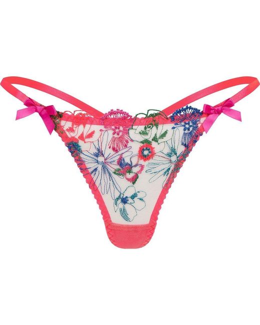 Agent Provocateur Red Zuri Brief