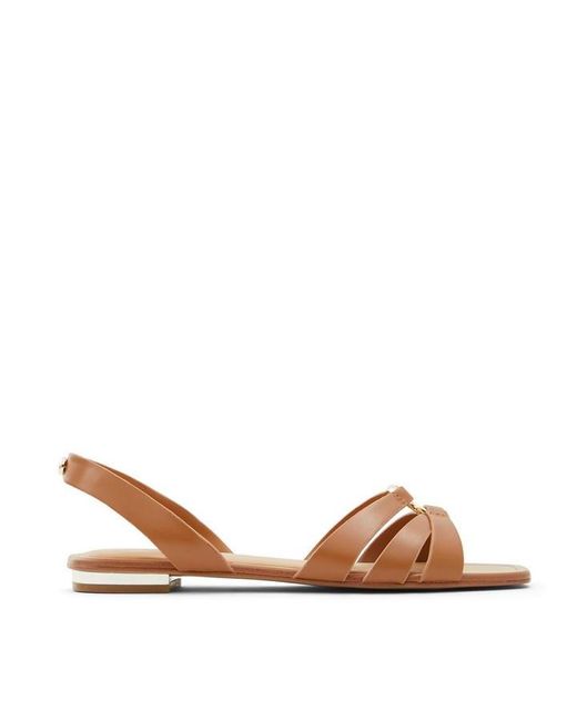 ALDO Brown Marassi Flat Sandals