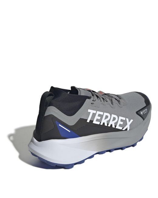 Adidas Blue Agravic Gore-Tex Trail Running Shoes for men