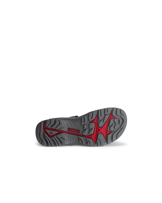 Ecco Gray Offroad for men