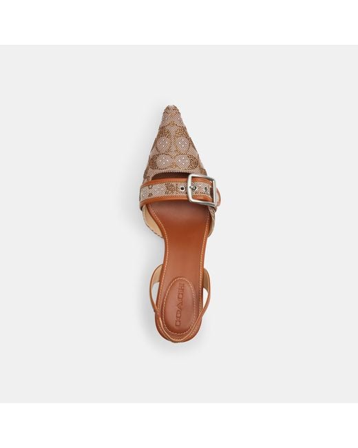 COACH Brown Slingbacks