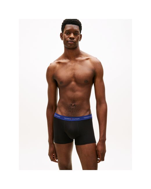 Tommy Hilfiger Multicolor 3-Pack Logo Waistband Trunks for men