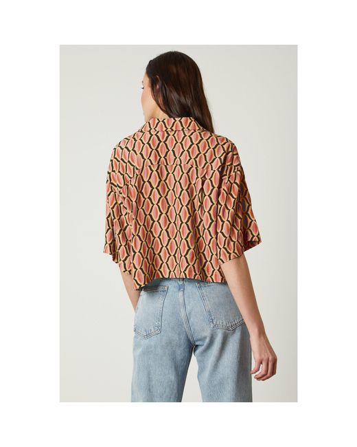 Velvet By Graham & Spencer Orange Geo Regular Fit T-Shirt