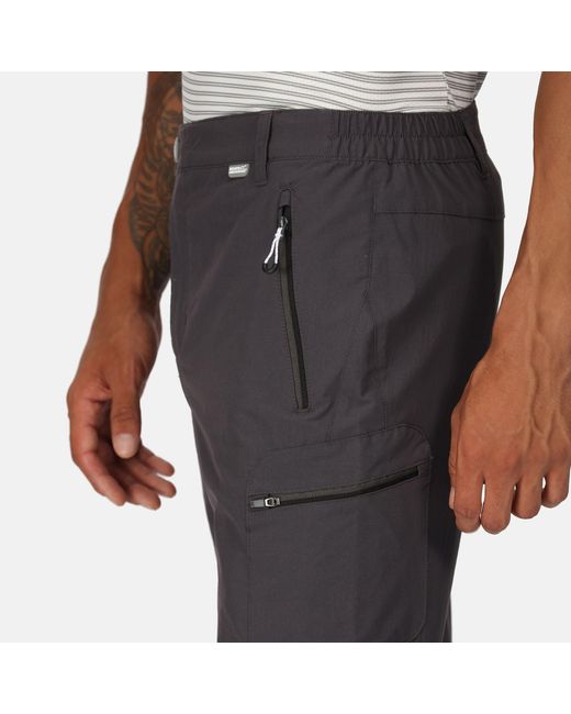 Regatta Blue Highton Walking Trouser(Regular) for men