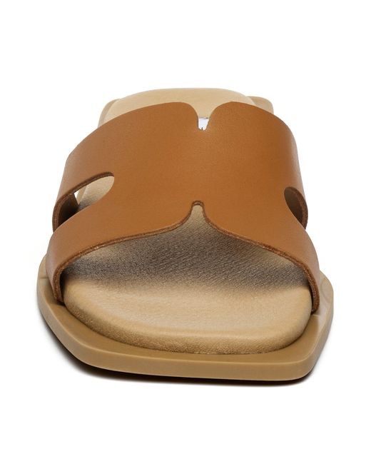 Steve Madden Brown Flat Sandals