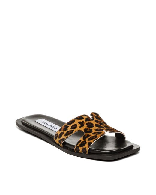 Steve Madden Brown Flat Sandals