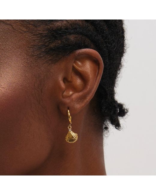 Jon Richard Metallic Plated Waterproof Shell Hoop Earrings