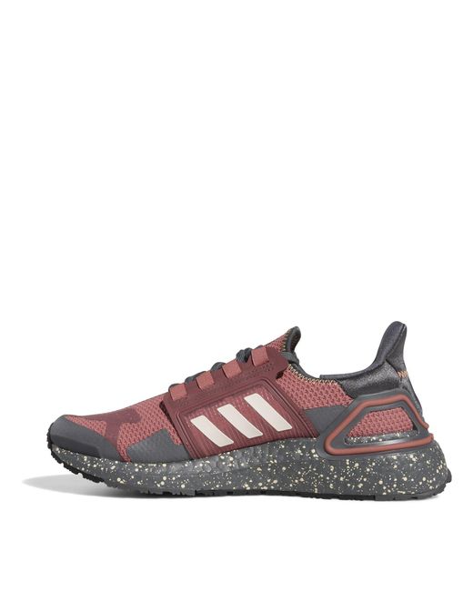 Adidas Multicolor Off-Road Trail Running Shoes