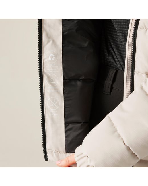 Regatta Gray Aldthorn Ld64