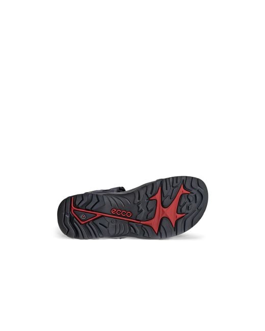 Ecco Green Walking Sandals for men