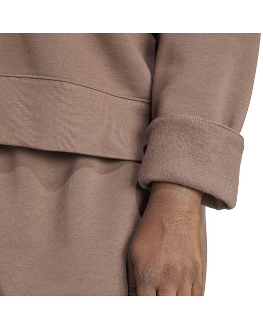 Adidas Originals Brown Adicolor Essentials Crew Sweatshirt (Plus Size)