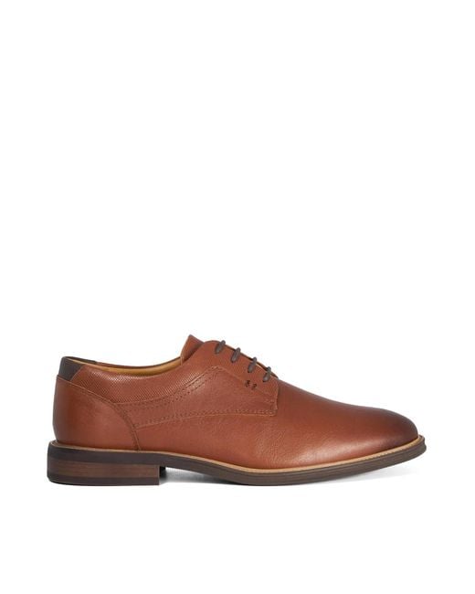 Dune Brown Derby Shoes for men