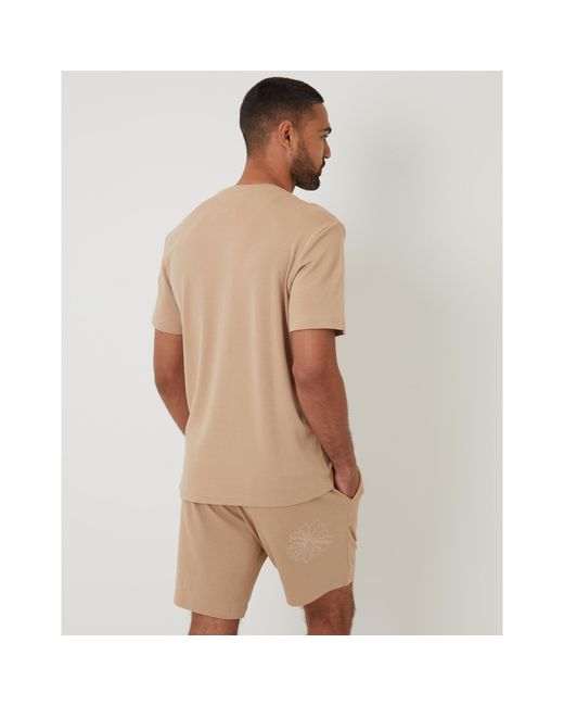 Threadbare Brown Regular Fit Teewren T-Shirt for men
