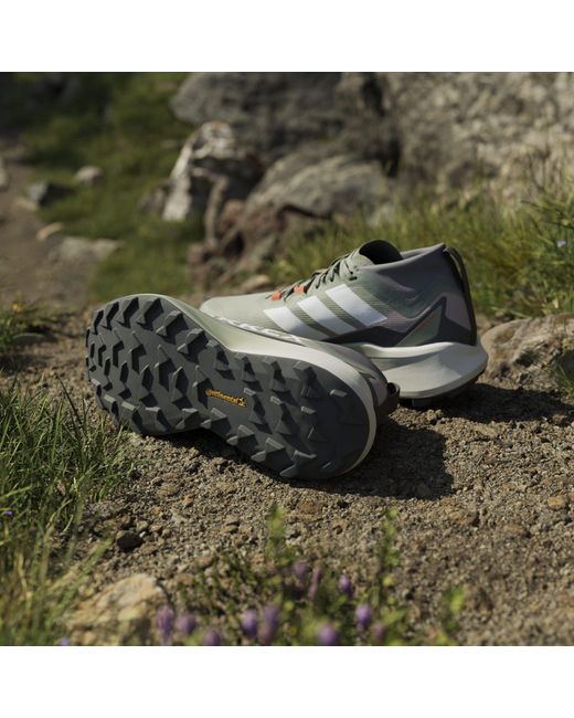 Adidas Gray Terrex Agravic Gtx Trail Running Shoes