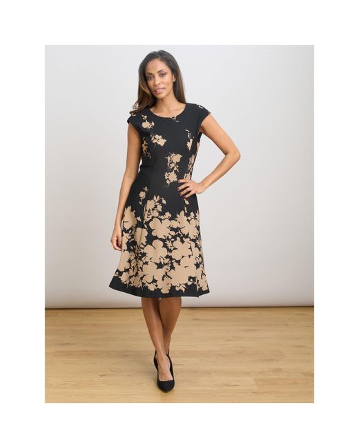 Gina Bacconi Black Holli Floral Fit & Flare Dress