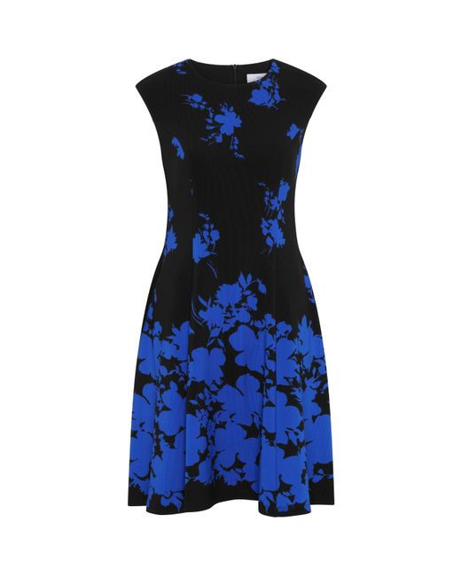 Gina Bacconi Blue Holli Floral Fit & Flare Dress