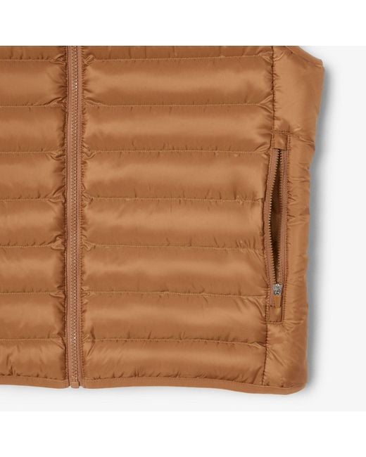 Lacoste Brown Gilets for men