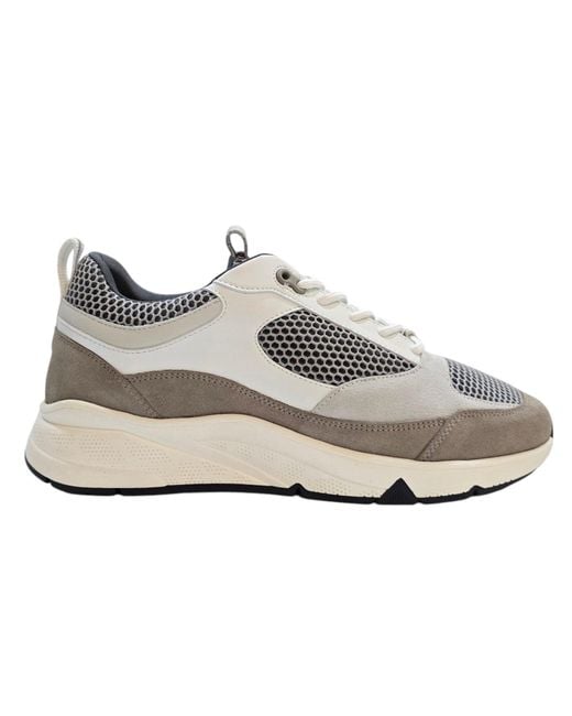 Loyalti Gray Nemo Runners for men