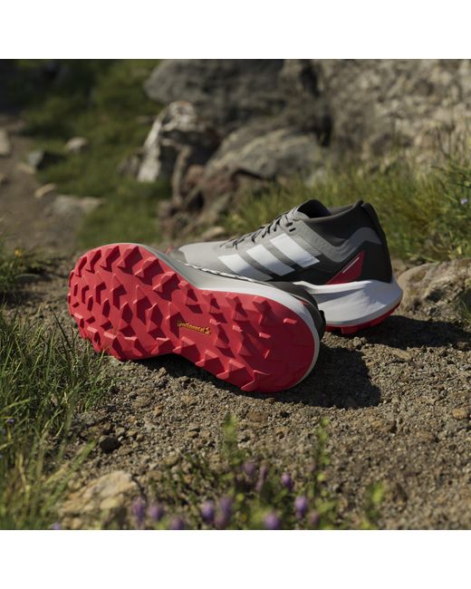 Adidas Blue Terrex Agravic Gtx Trail Running Shoes