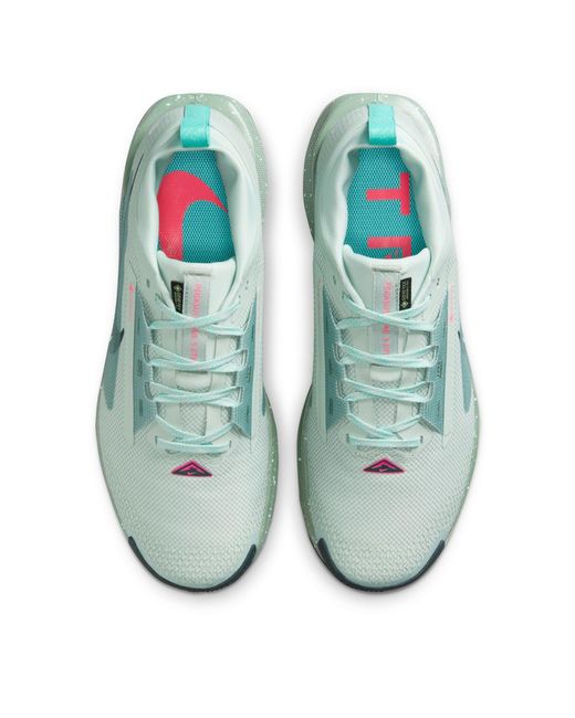 Nike Green Pegasus Trail 5 Gore-Tex Running Shoes for men