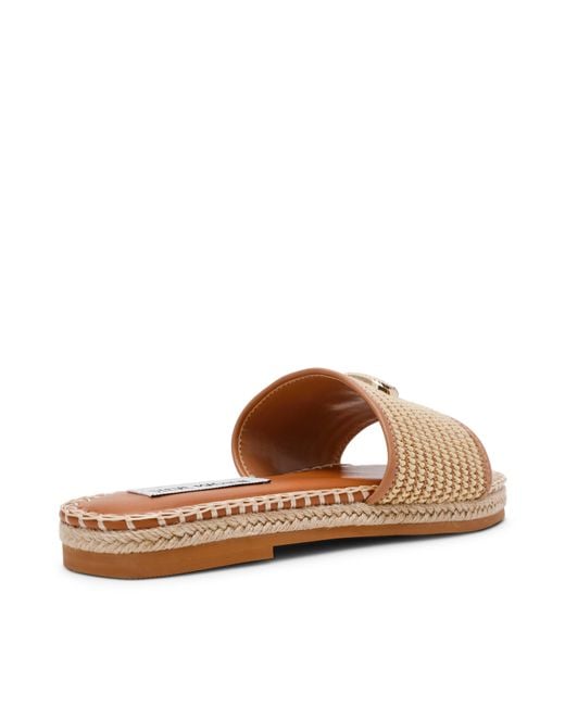 Steve Madden Brown Flat Sandals