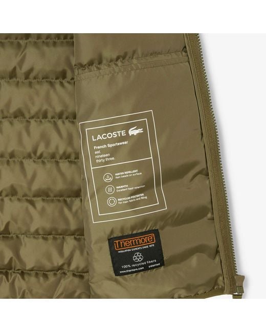 Lacoste Green Gilets for men
