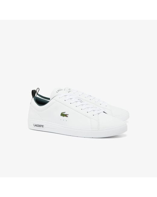 Lacoste S Carnabase Trainers White/green 9 for men