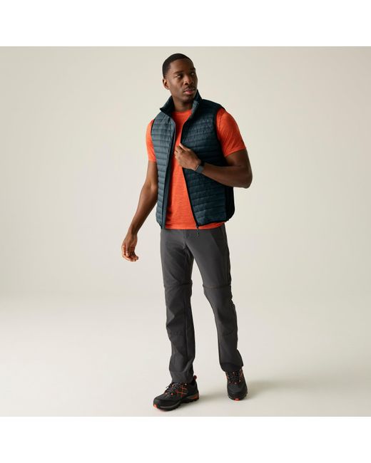Regatta Blue Andreson Hybrid Water-Repellent Bodywarmer for men