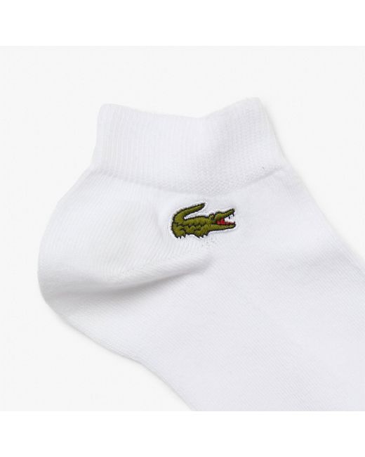 Lacoste White 3 Pack Trainer Socks for men