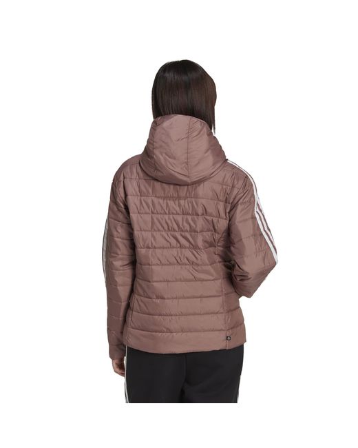 Adidas Originals Brown Premium Slim Hooded Long Sleeve Slim Fit Short Puffer Jacket
