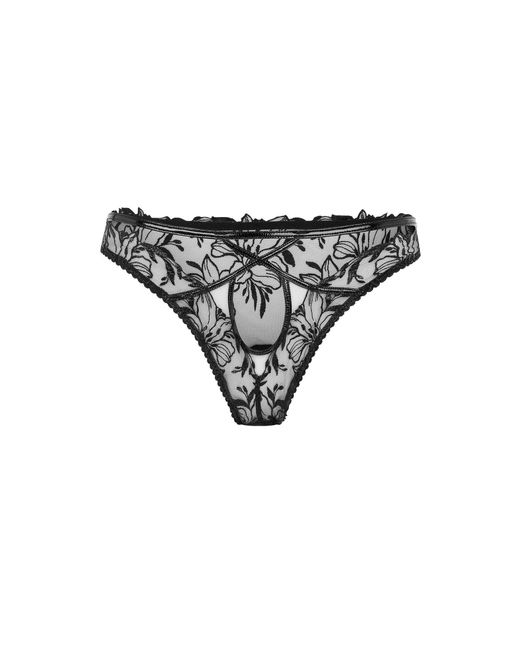 Agent Provocateur Brown Ozella Full Brief