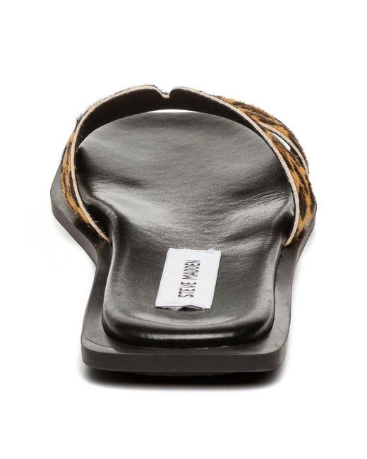 Steve Madden Brown Flat Sandals