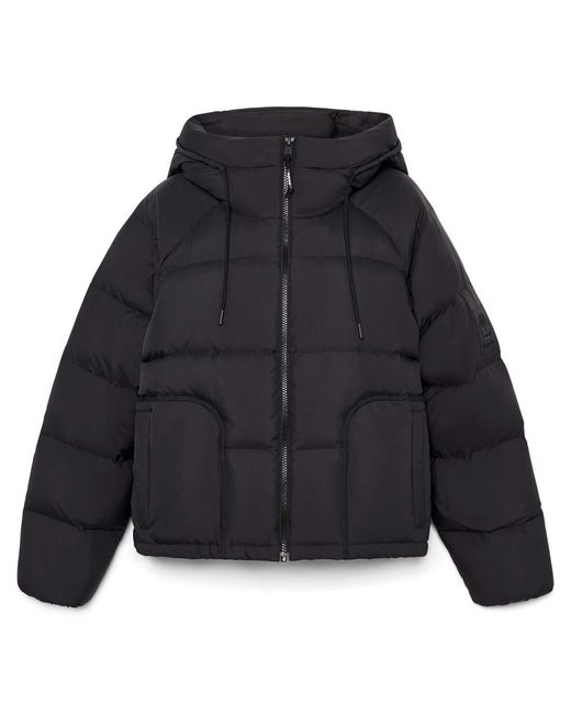 Timberland Blue Recycled Down Puffer Jacket