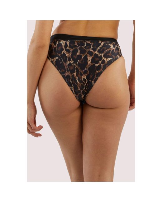 Playful Promises Black Eco Leopard Jayne Bikini Brief