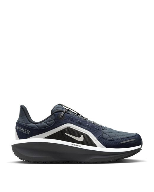 Nike Blue Winflo 11 Gore-Tex Weatherized Road Running Shoes