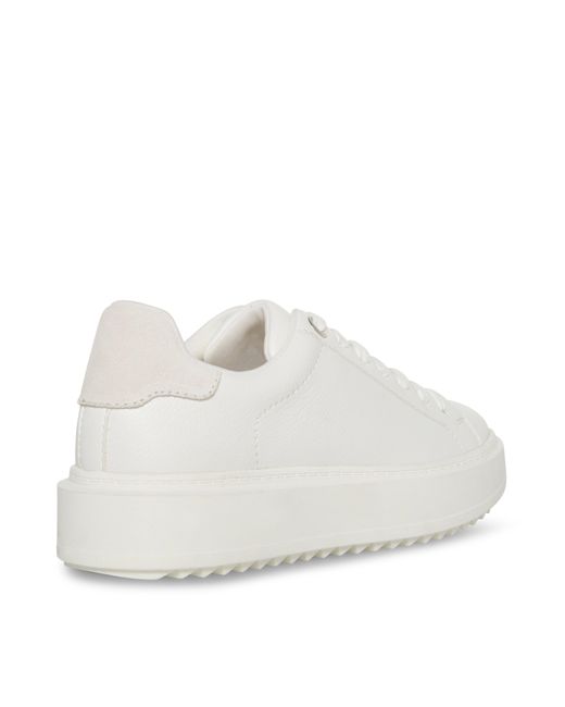 Steve Madden White Catcher2.0 Low-Top Trainers