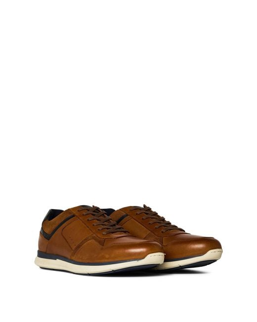 Dune Brown Torben Trainers for men