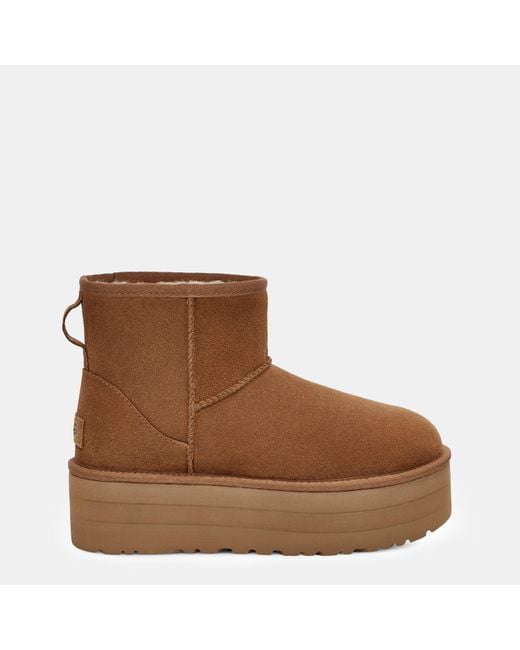Ugg Brown Classic Mini Platform Boots