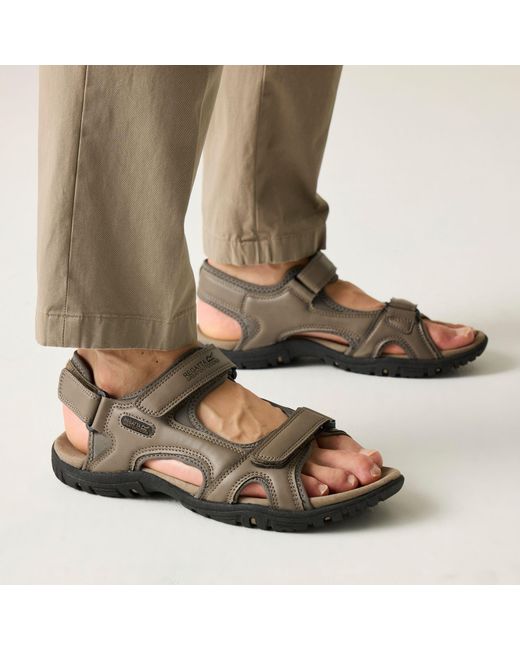 Regatta Brown Haris for men