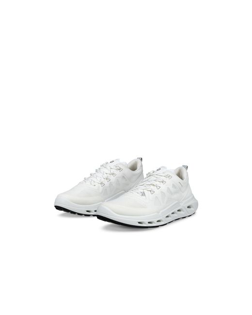 Ecco White Trainers
